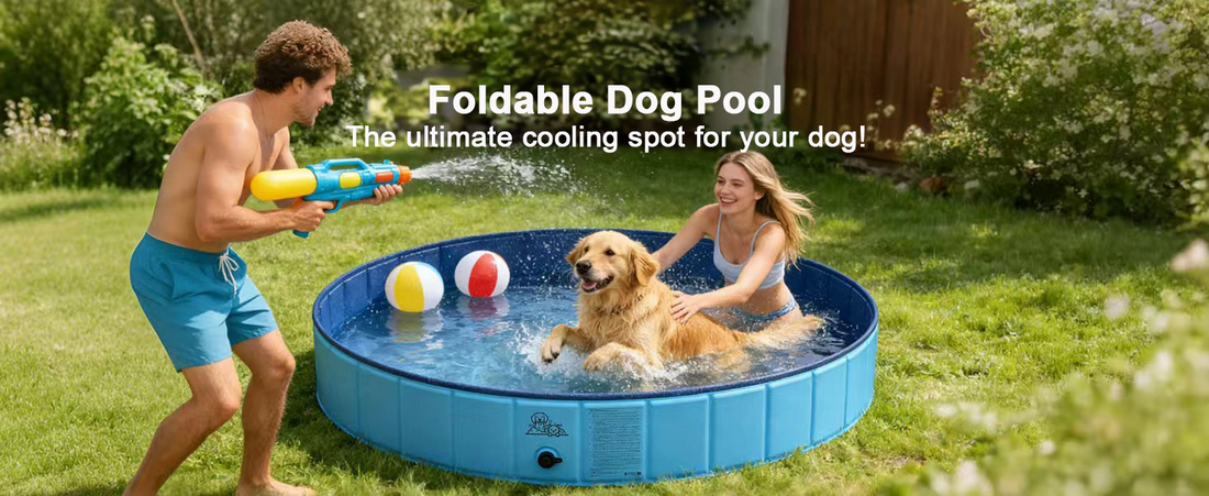 Foldable Dog Pool – The Perfect Summer Cool Down for Your Four-Legged Friend