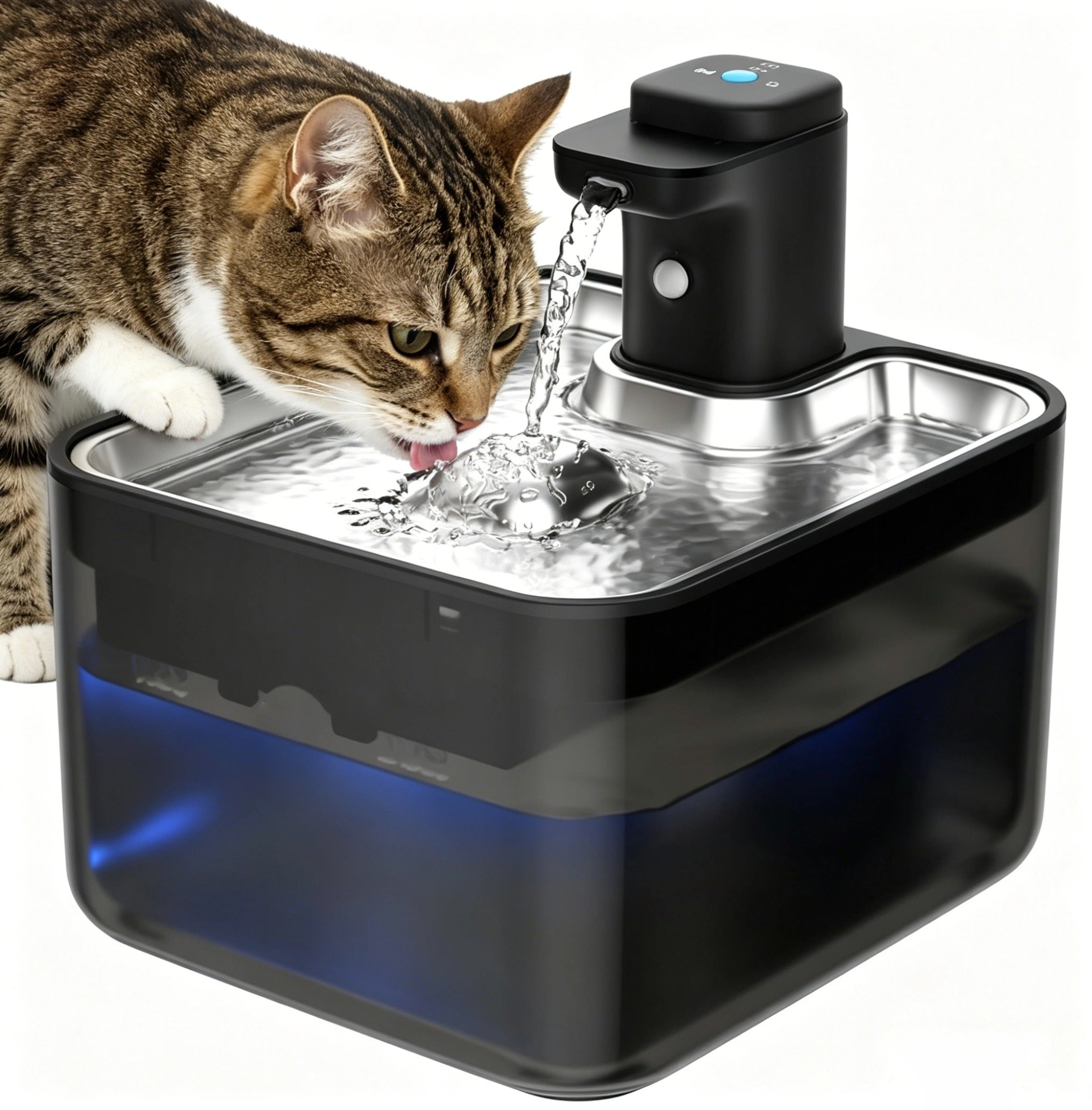 Wireless Pet Water Fountain – No Cables, No Limits